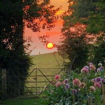 新利luck备用网址