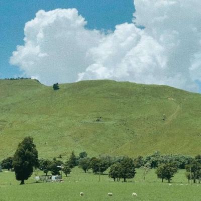 爱游戏全站手机app下载