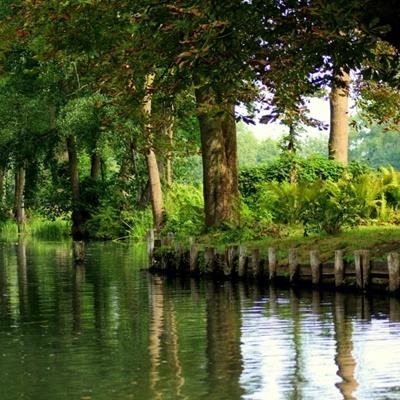 澳门黄金城app苹果下载官网