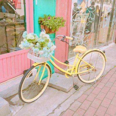 BSport·APP在线登录