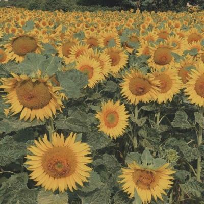 星空体育APP下载手机版