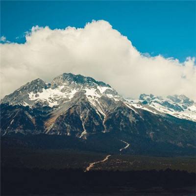 网络举报客户端