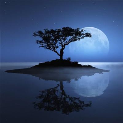 亚博BOB体育下载