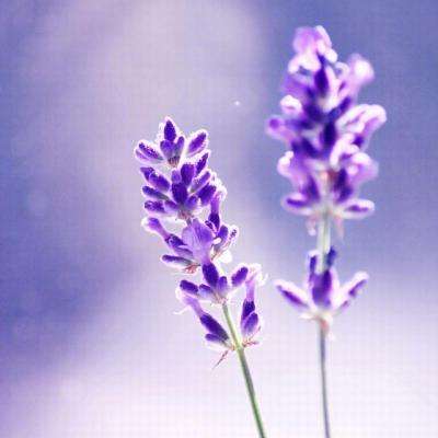 爱游戏平台下载手机版