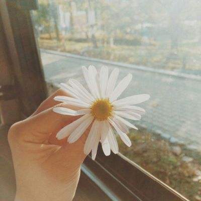 鸭脖app下载app下载