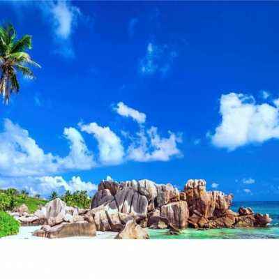 南宫ng28官方网站最新版